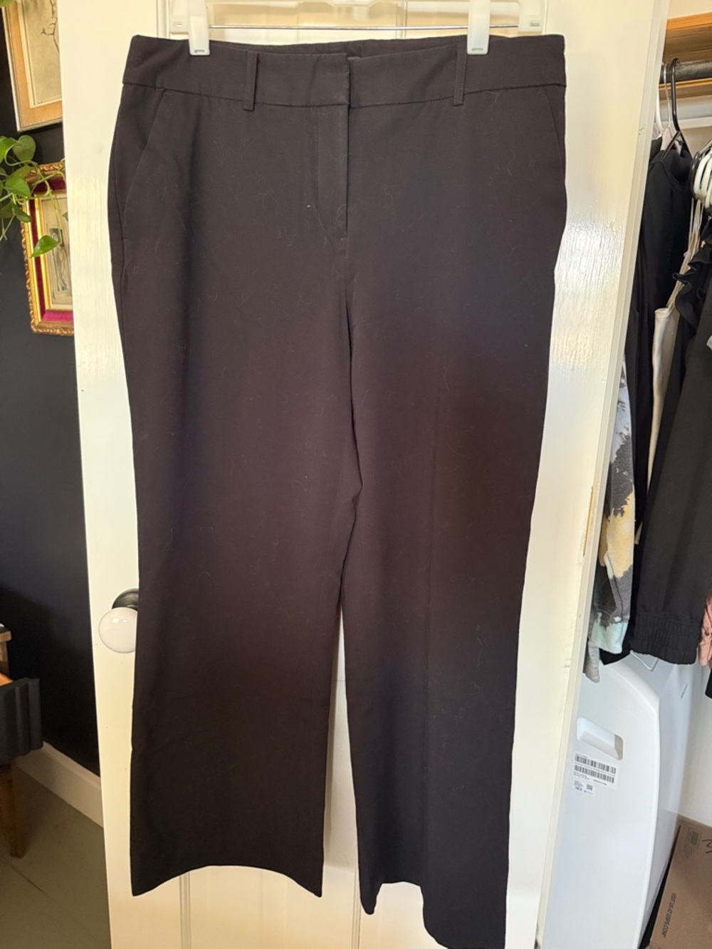 Liz Claiborne Black Sophie Classic Pants